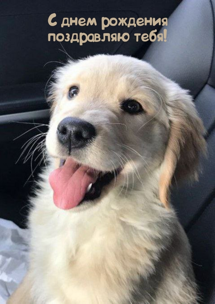 С днем рождения поздравляю тебя!