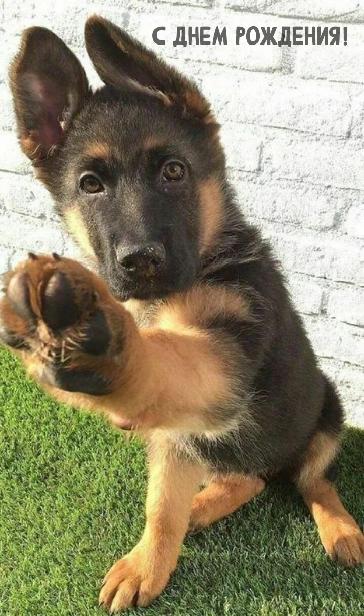 С днем рождения!