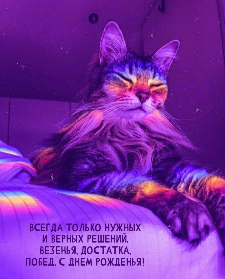 Везенья, достатка, побед. С днем рожденья!