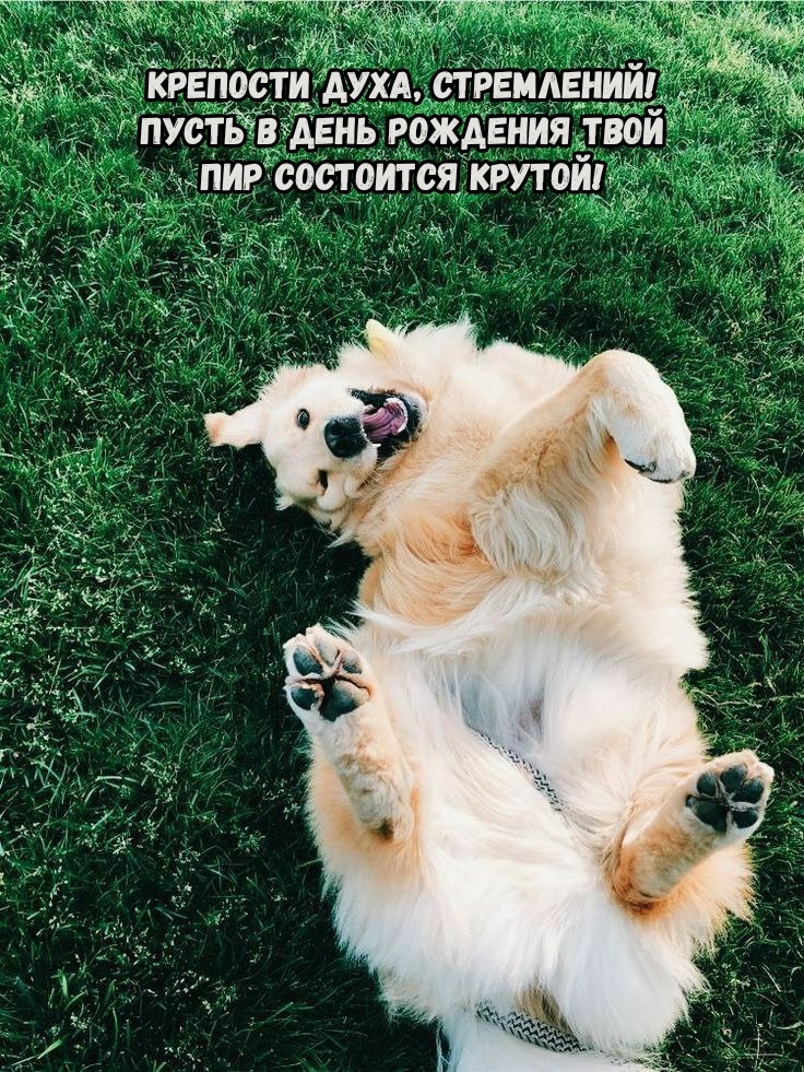 Пусть в день рождения твой пир состоится крутой!