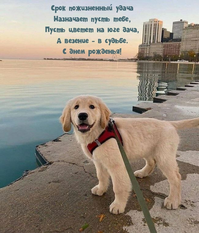 С днем рожденья! Пусть цветет на юге дача