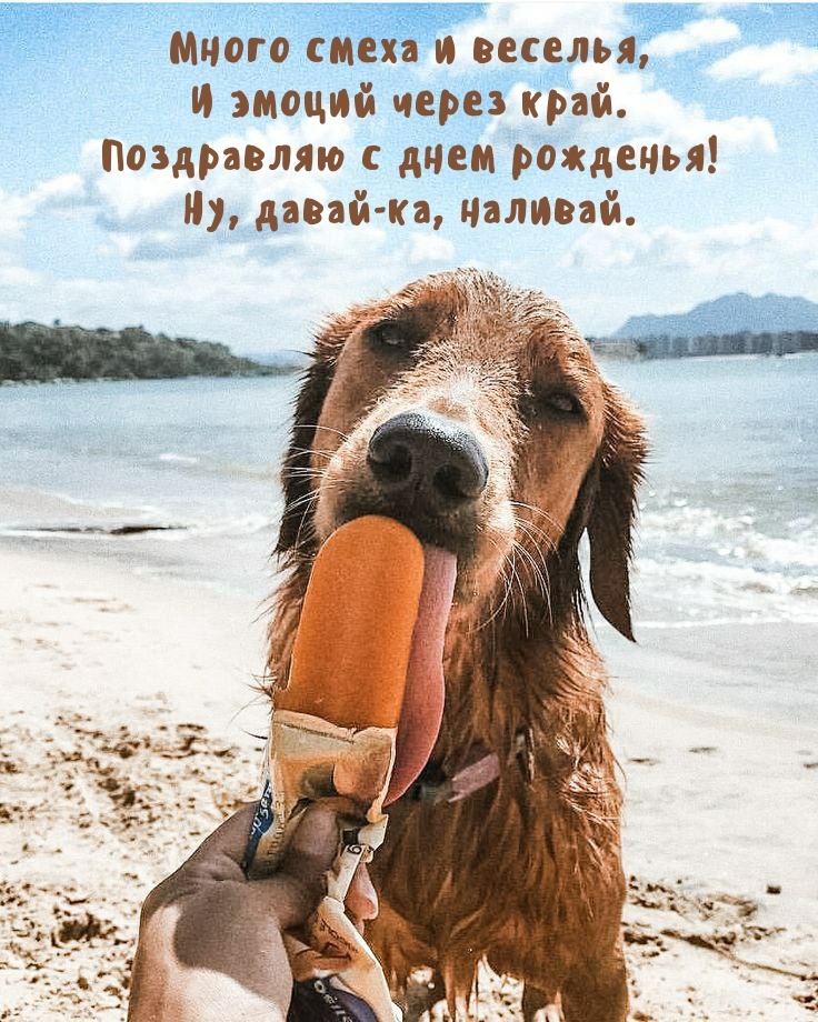 Поздравляю с днем рожденья! Ну, давай-ка, наливай.