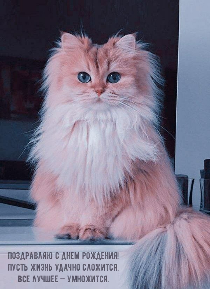 Поздравляю с днем рождения! Пусть жизнь удачно сложится