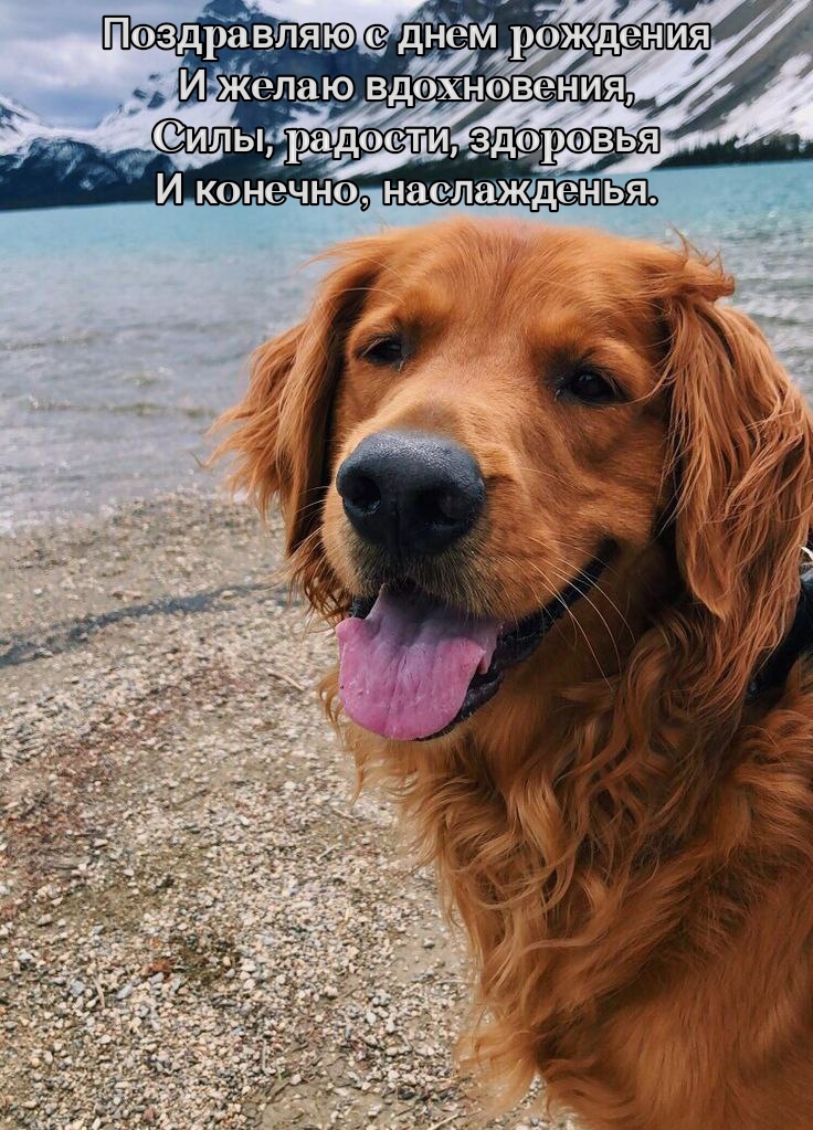 Поздравляю с днем рождения и желаю вдохновения