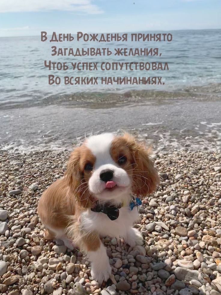 В День Рожденья принято загадывать желания