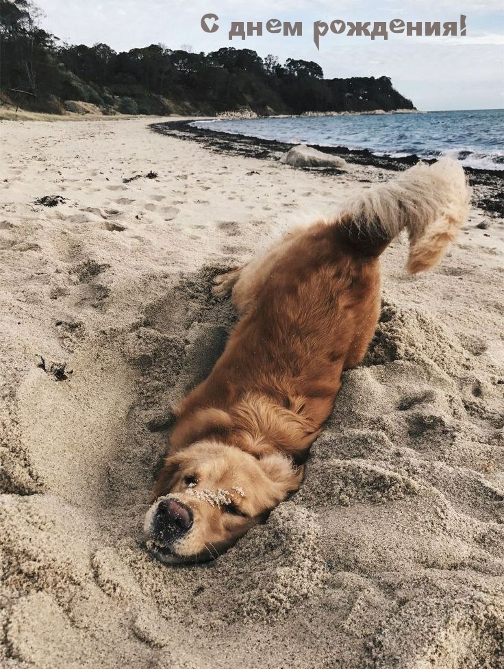 С днем рождения!