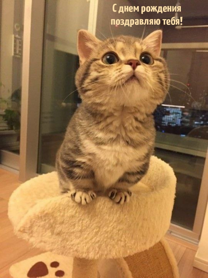 С днем рождения поздравляю тебя!