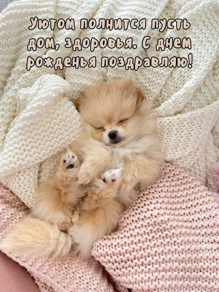 Уютом полнится пусть дом, здоровья. С днем рожденья