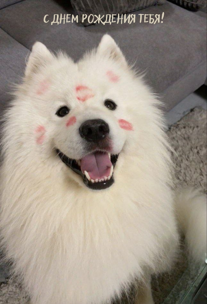 С днем рождения тебя!