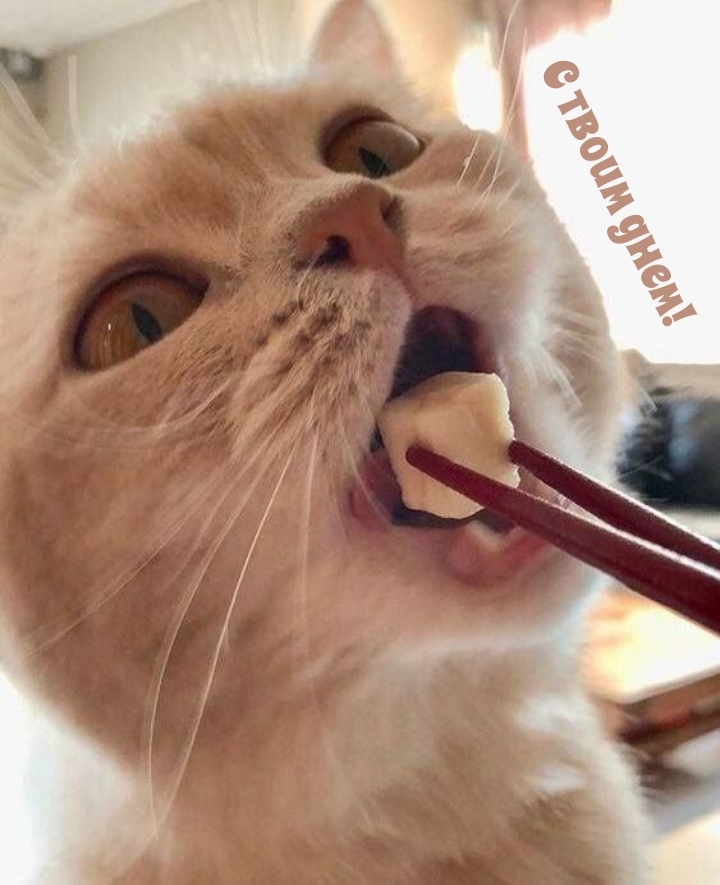 С твоим днем!