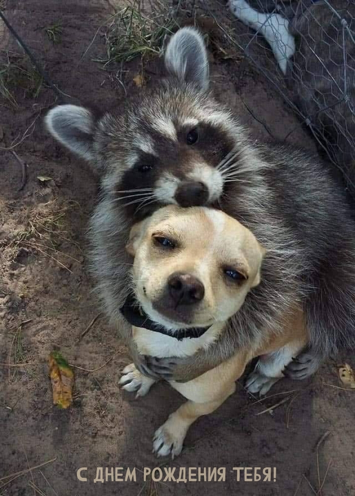 С днем рождения тебя!