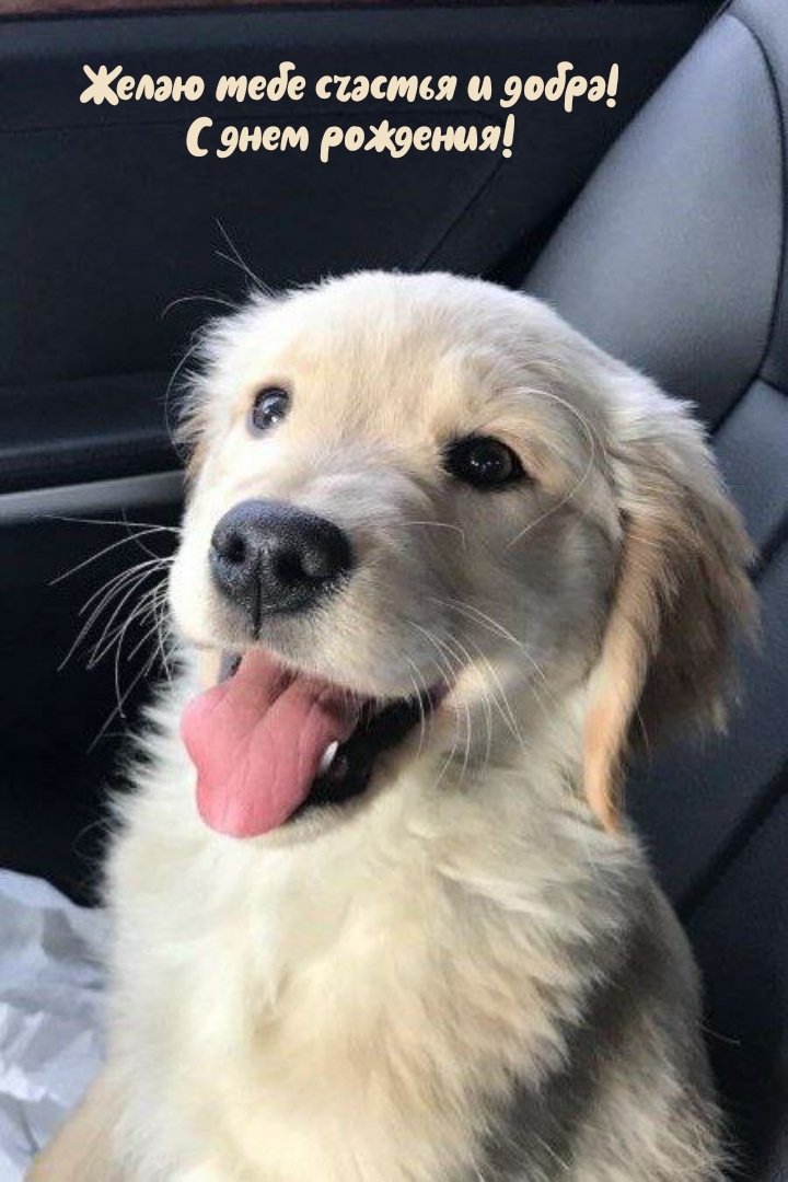 Желаю тебе счастья и добра! С днем рождения!