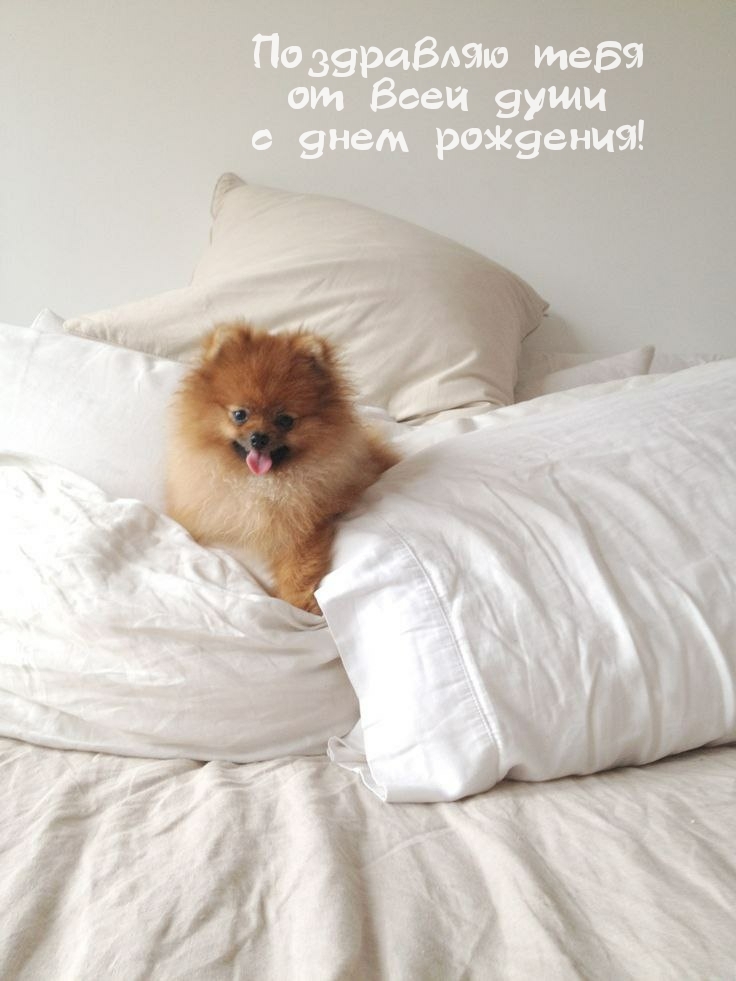 Поздравляю тебя от всей души с днем рождения!