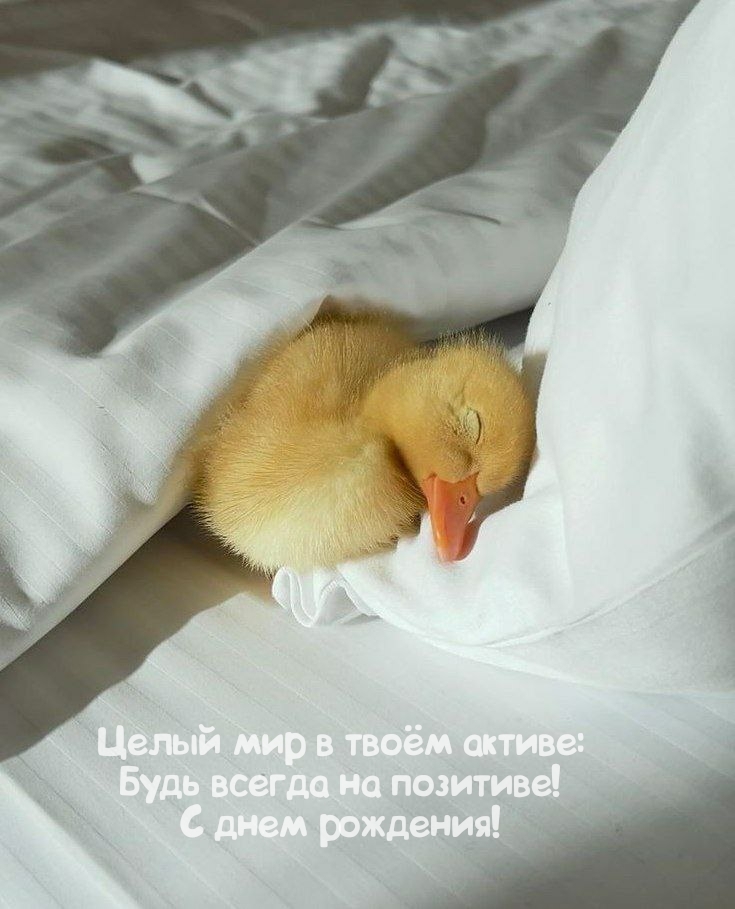 Будь всегда на позитиве! С днем рождения!