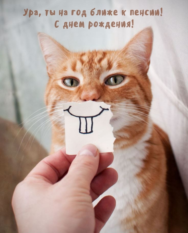 Ура, ты на год ближе к пенсии! С днем рождения!
