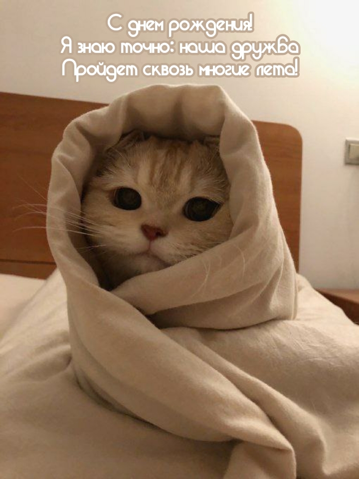 С днем рождения! Наша дружба пройдет сквозь многие лета!