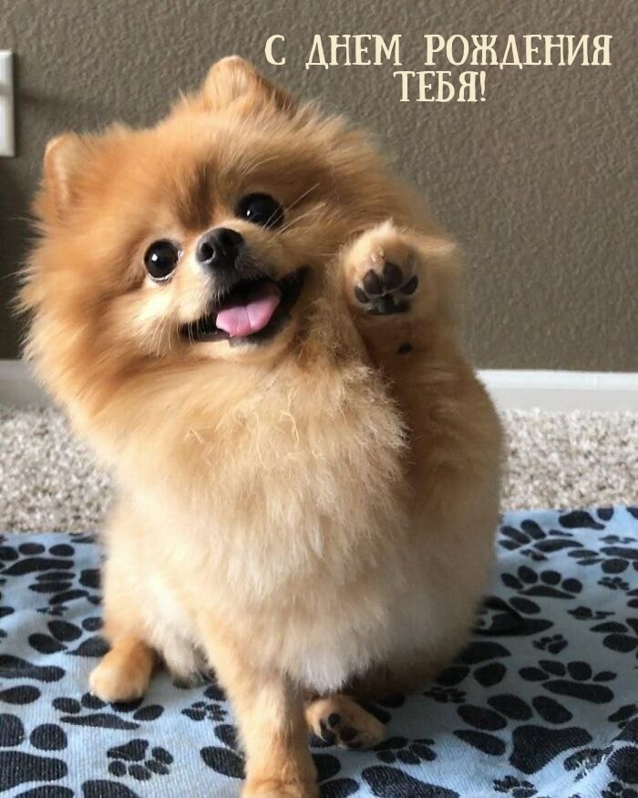 С днем рождения тебя!