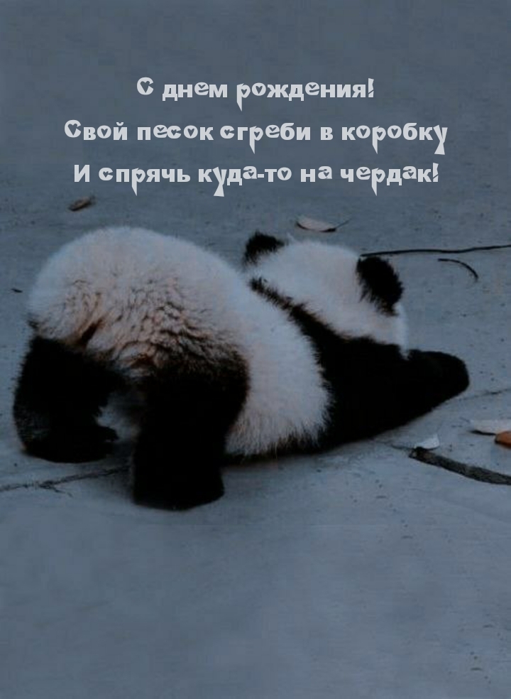 С днем рождения! Свой песок сгреби в коробку