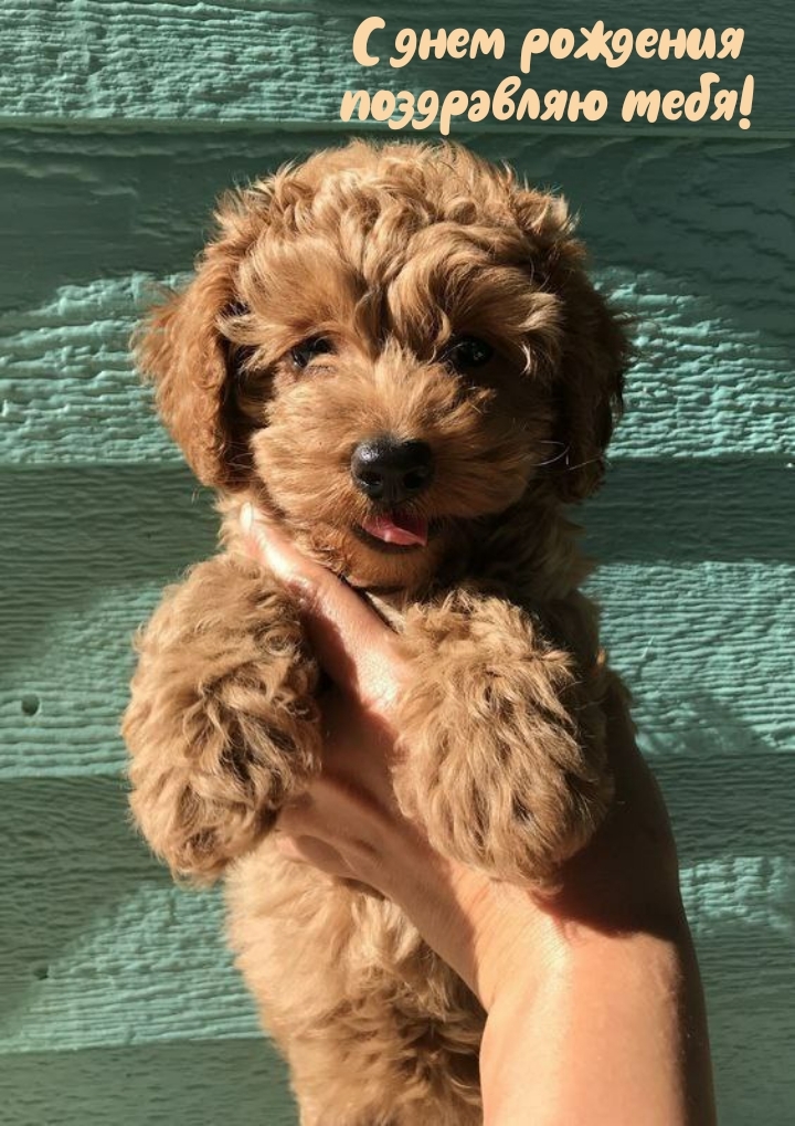 С днем рождения поздравляю тебя!