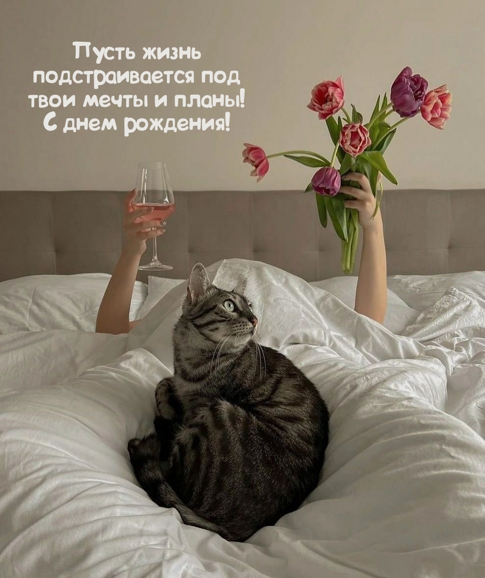 Пусть жизнь подстраивается под мечты и планы! С днем рождения!