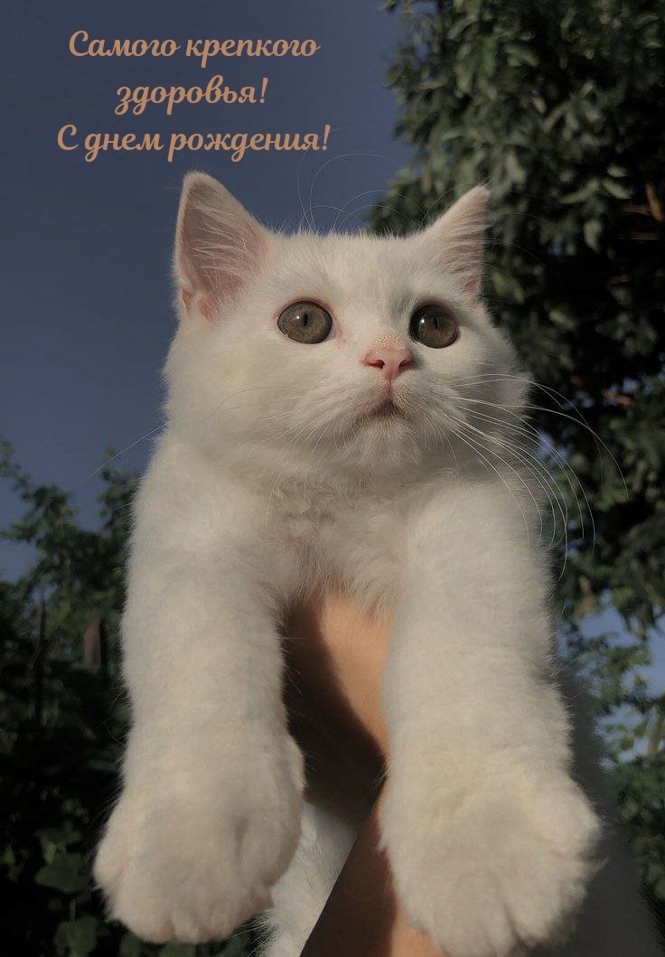 Самого крепкого здоровья! С днем рождения!
