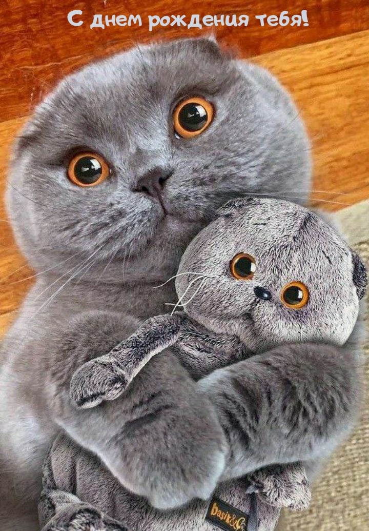 С днем рождения тебя!