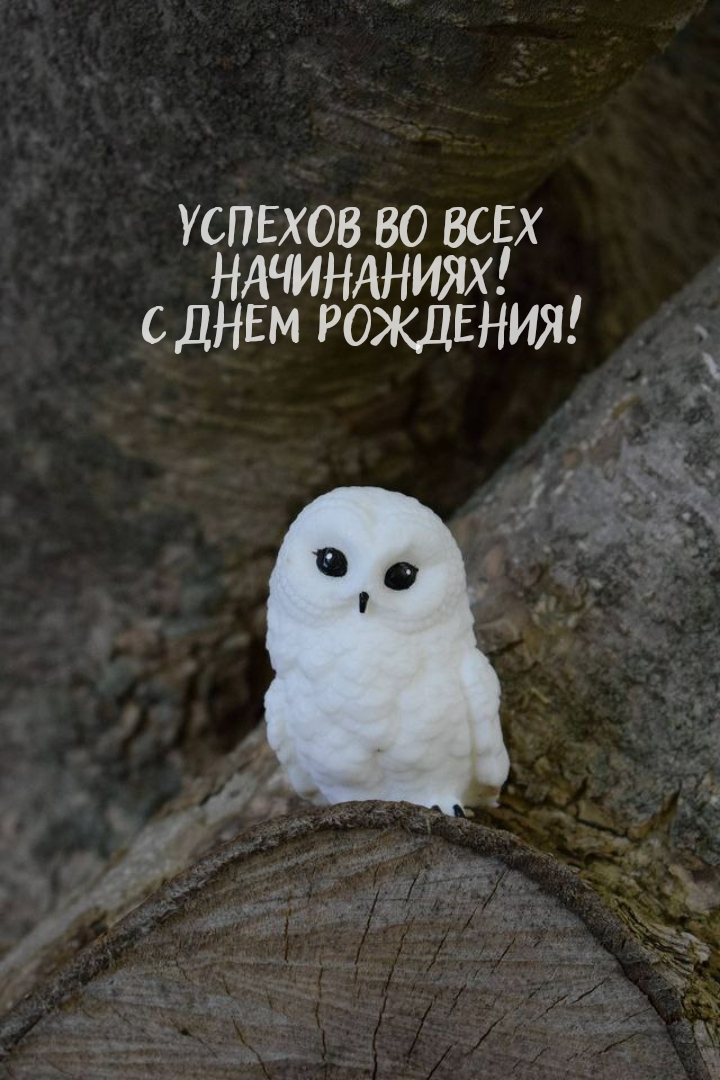 Успехов во всех начинаниях! С днем рождения!