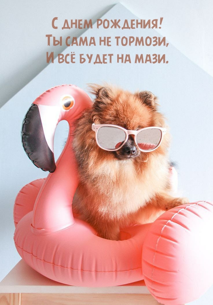 С днем рождения! Ты сама не тормози, и всё будет на мази.