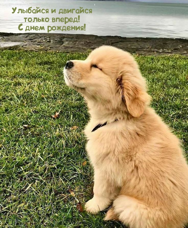 Улыбайся и двигайся только вперед! С днем рождения!