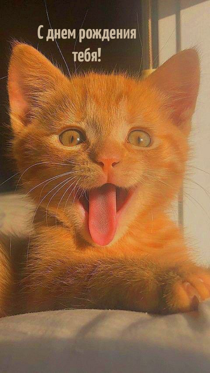 С днем рождения тебя!