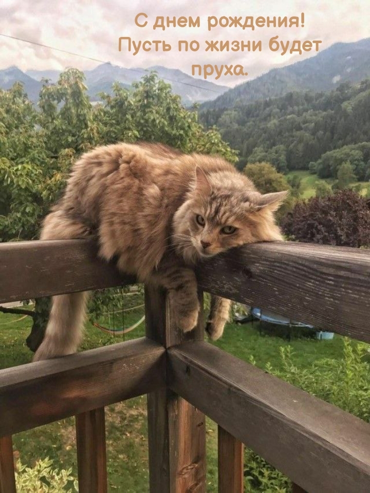 С днем рождения! Пусть по жизни будет пруха.