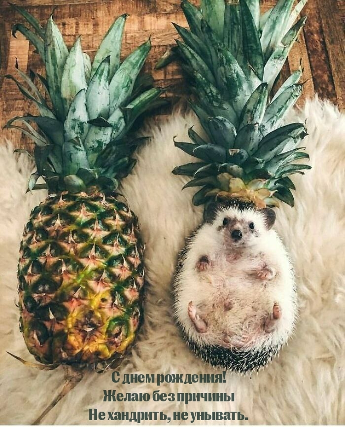 С днем рождения! Желаю без причины не хандрить, не унывать.