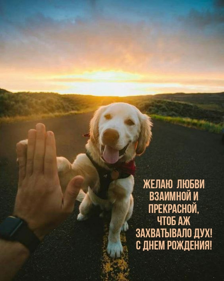 Желаю  любви взаимной и прекрасной, чтоб аж захватывало дух!