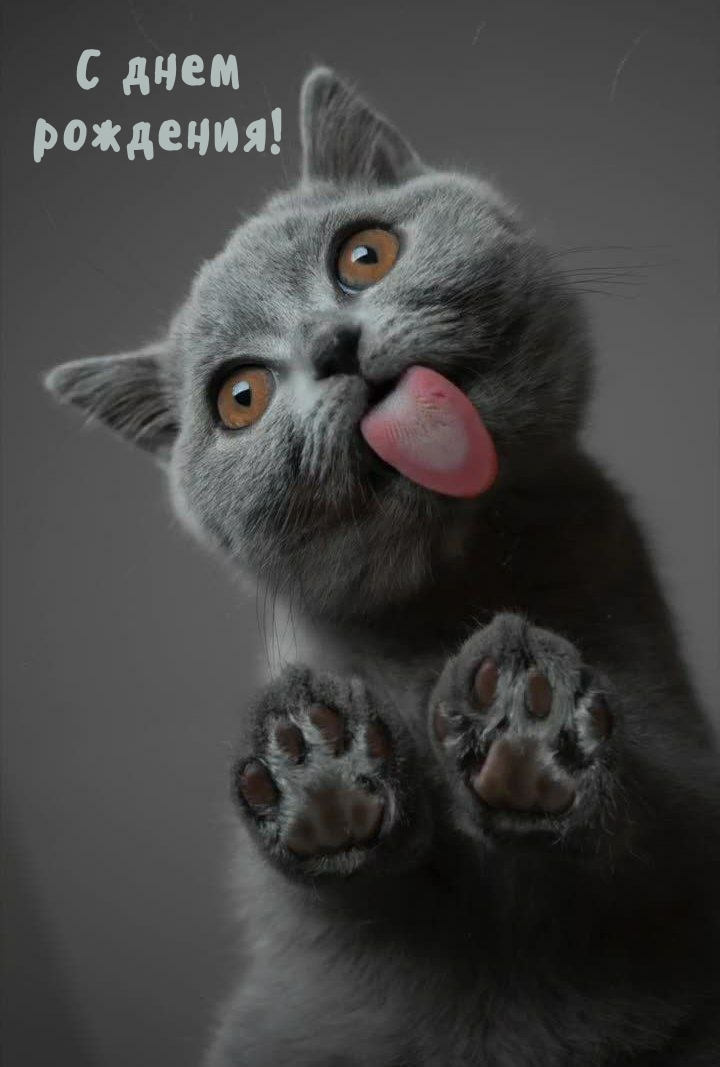 С днем рождения!