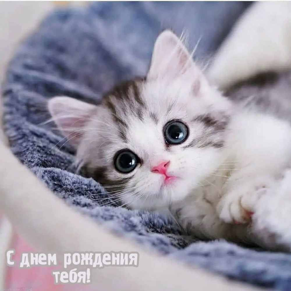 С днем рождения тебя!