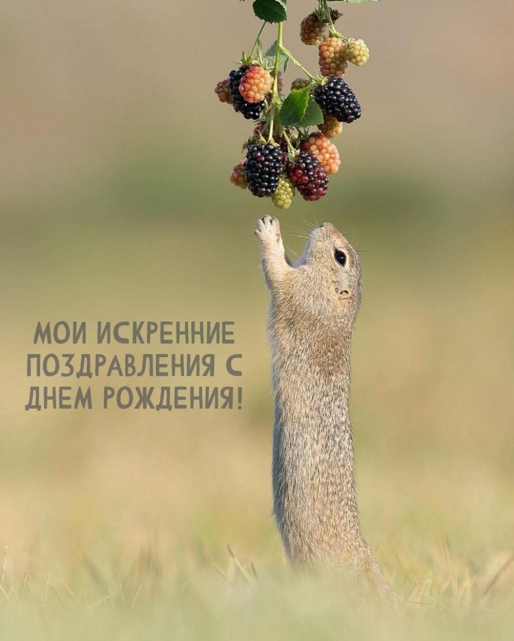 Мои искренние поздравления с днем рождения!