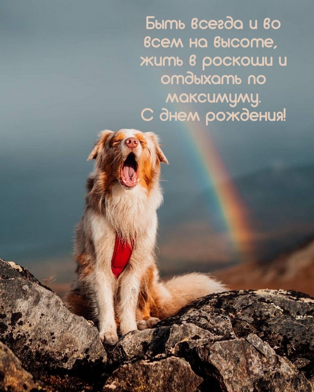 Быть всегда и во всем на высоте, жить в роскоши 