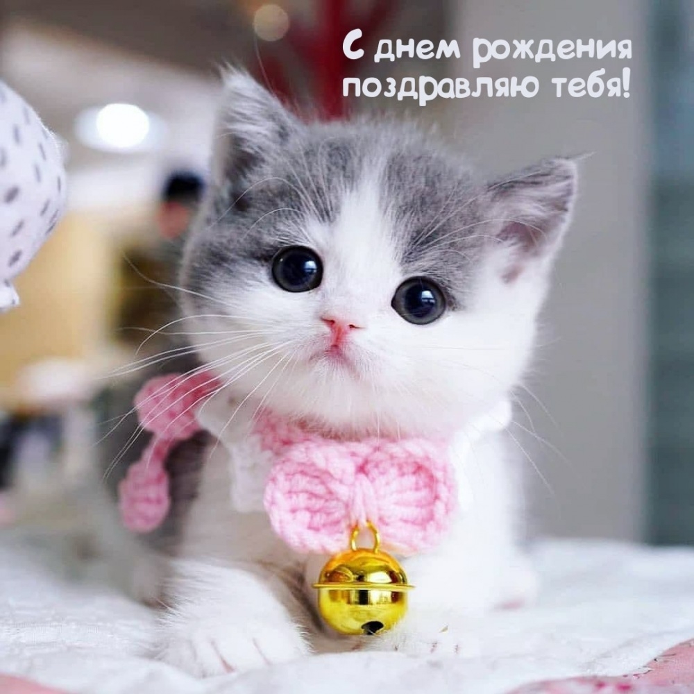 С днем рождения поздравляю тебя!