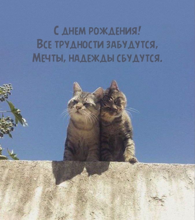 С днем рождения! Все трудности забудутся