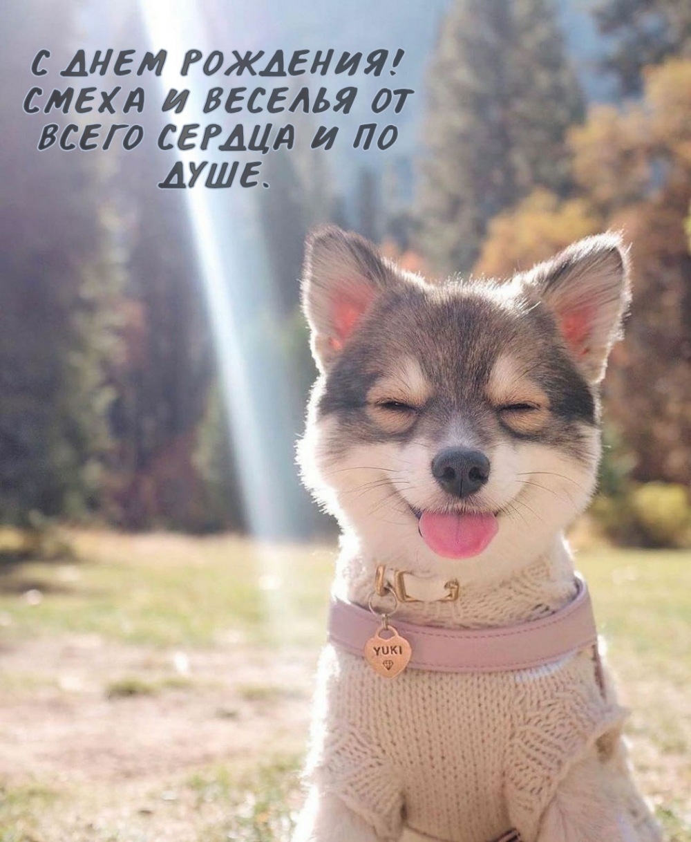 С днем рождения! Смеха и веселья от всего сердца и по душе.
