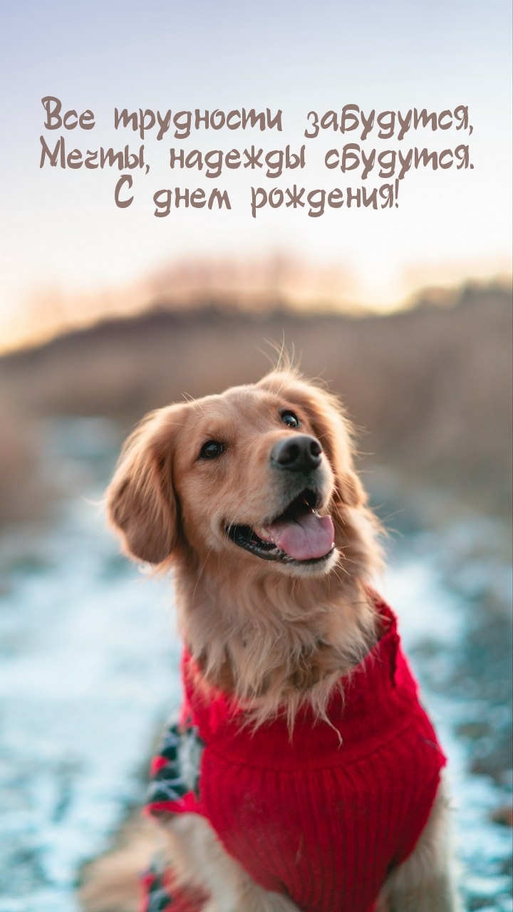 Мечты, надежды сбудутся. С днем рождения!