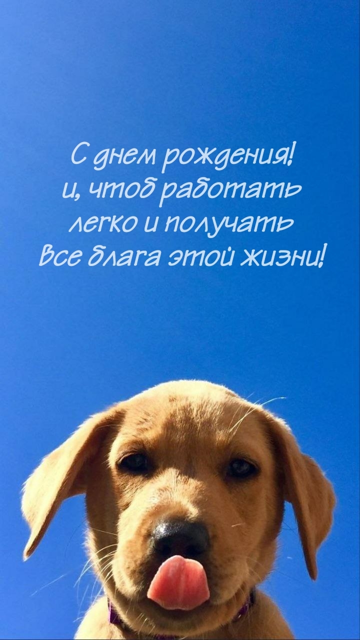 С днем рождения! и, чтоб работать легко и получать все блага