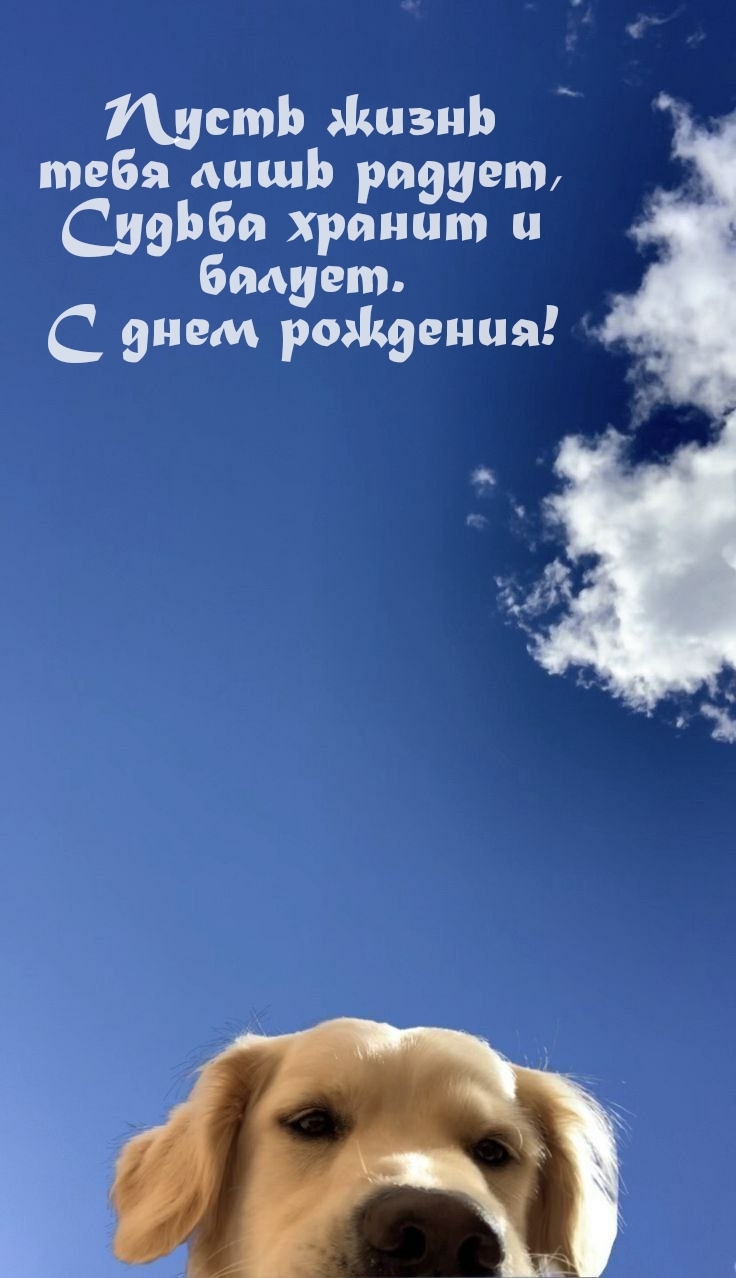 Пусть жизнь тебя лишь радует, судьба хранит и балует.
