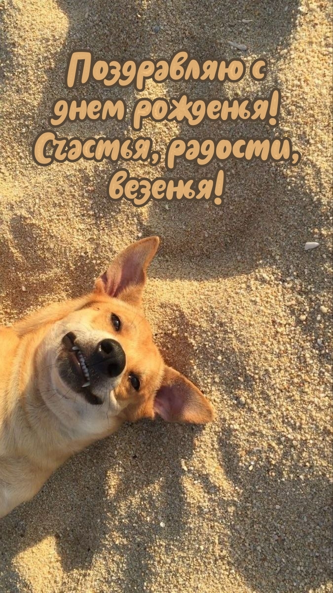 Поздравляю с днем рожденья! Счастья, радости, везенья!