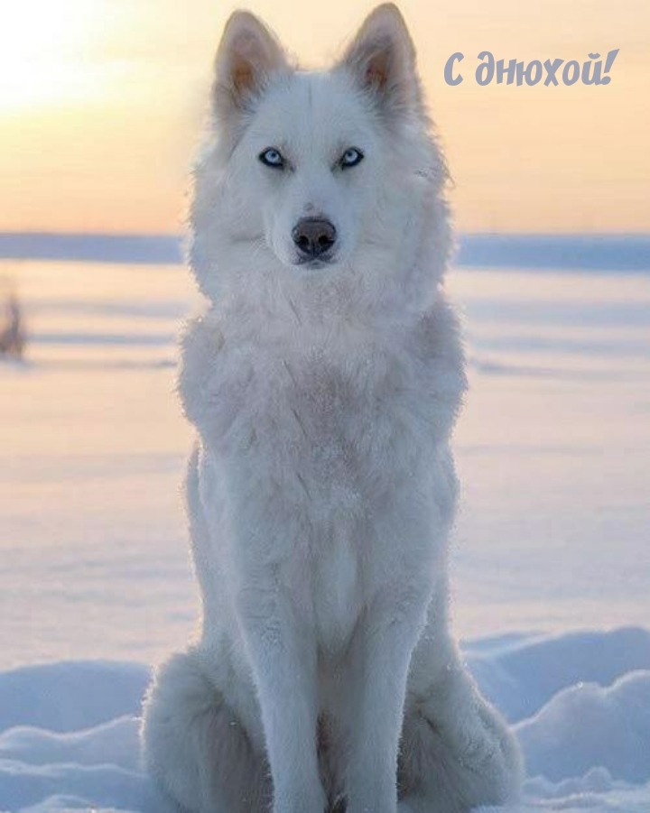 С днюхой!
