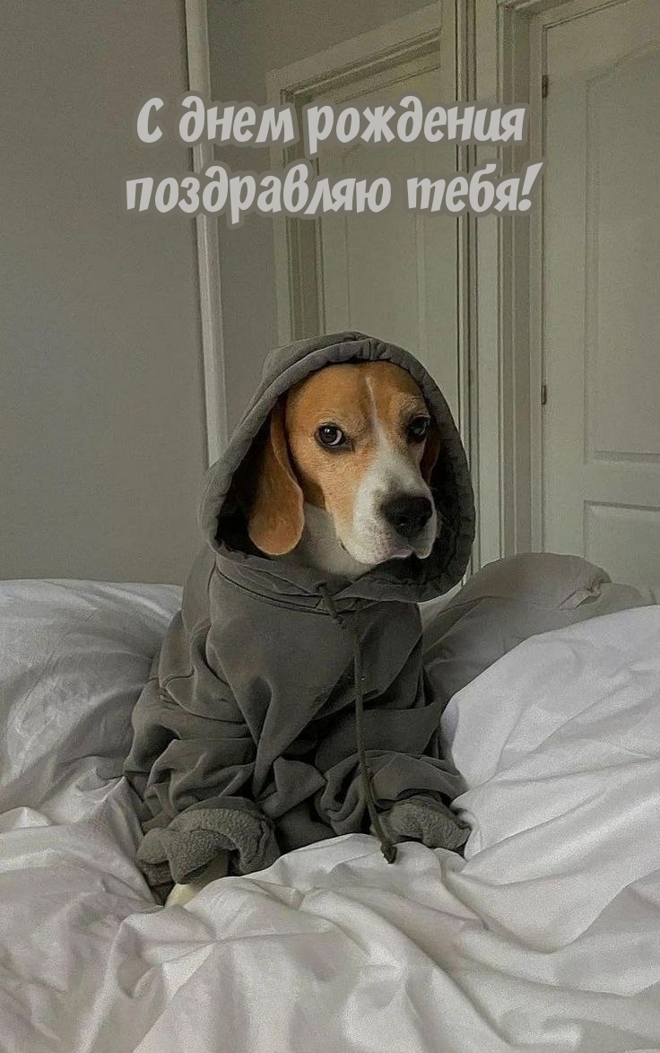 С днем рождения поздравляю тебя!