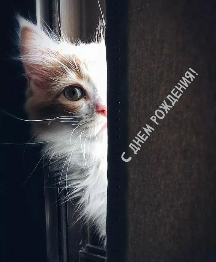 С днем рождения!