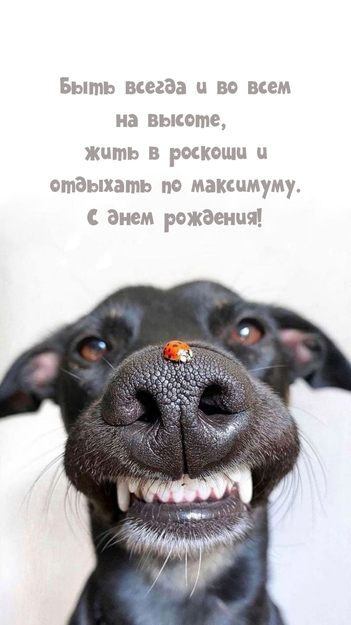 С днем рождения! Быть всегда и во всем на высоте