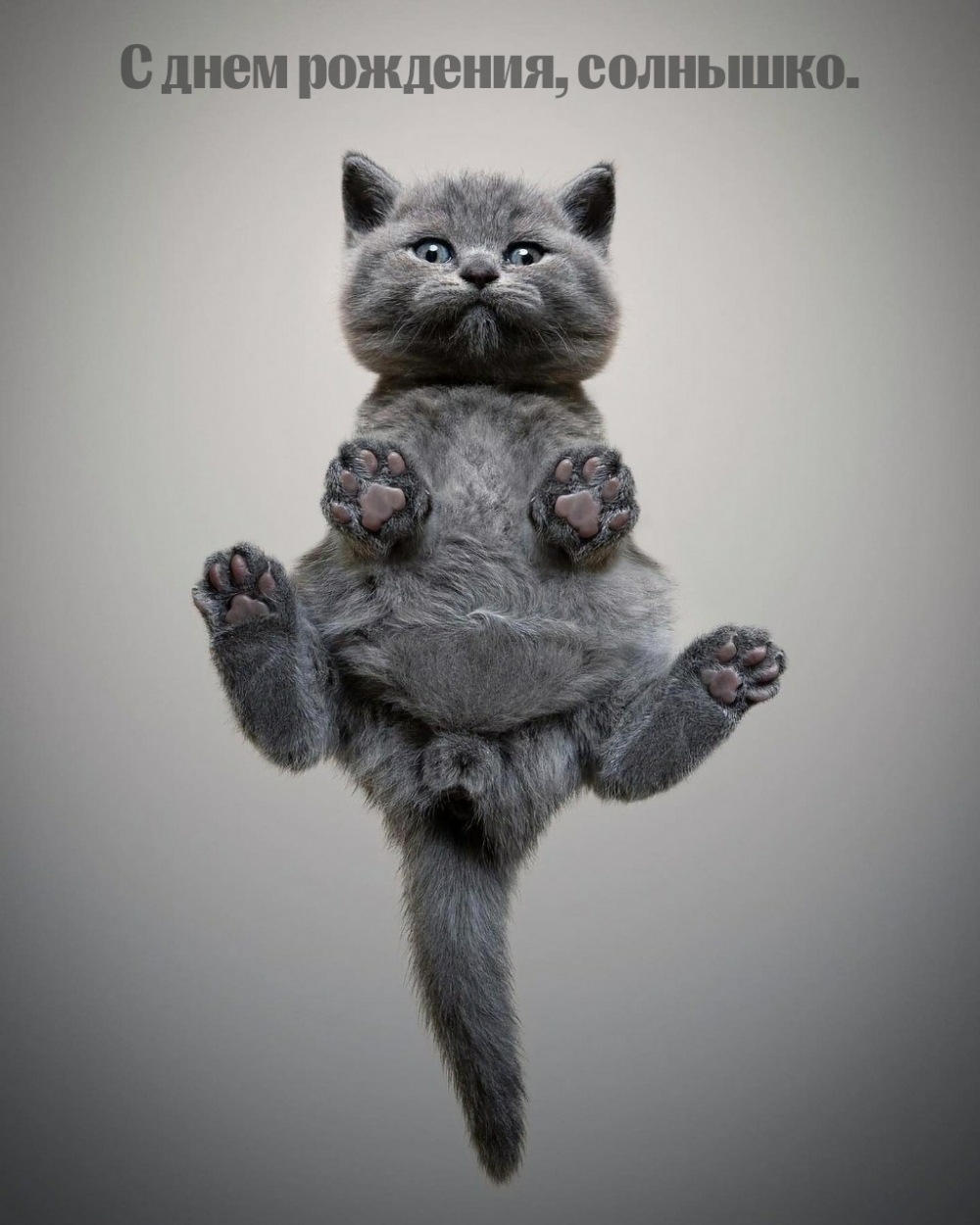 С днем рождения, солнышко.