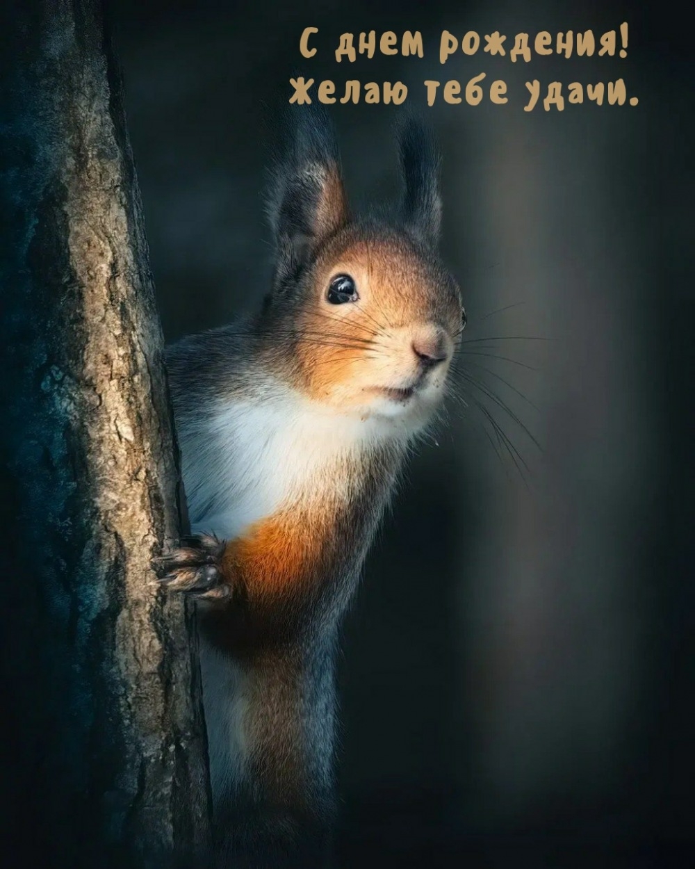 С днем рождения! Желаю тебе удачи.